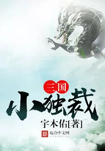 Three Kingdoms Small Dictatorship