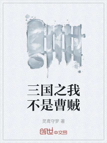 I Am Not a Thief in Three Kingdoms