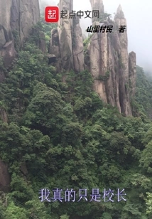 I'm Really Just the Principal