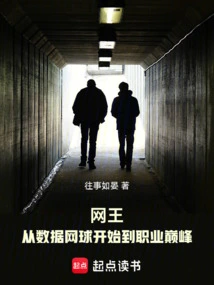 King of Tennis: from Data Tennis to the Peak of Career