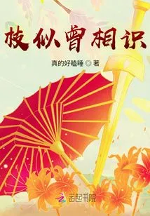 Branches Look Familiar