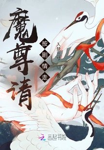 Demon Lord, Please Follow the Plot