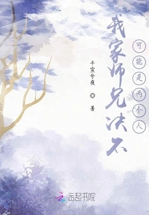 Lonely Bird at Sunset