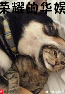 Glory of China Entertainment