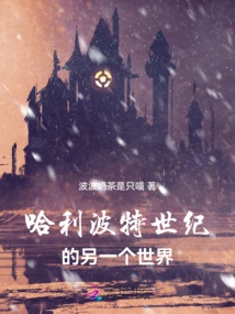 Harry Potter Century Another World