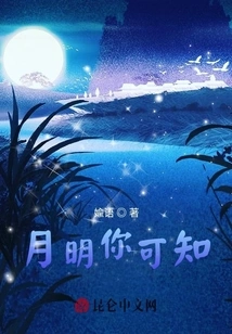 Do You Know the Moon is Bright?