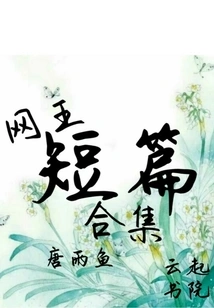 Collection of Short Stories by Net King