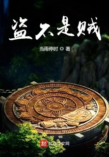 A Thief is Not a Thief