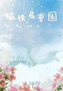 A Broken Mirror is Easy to Reunite