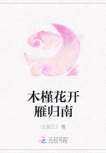 The Hibiscus Flowers Bloom and the Wild Geese Return South