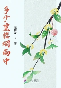 How Many Buildings Are There in the Mist and Rain?