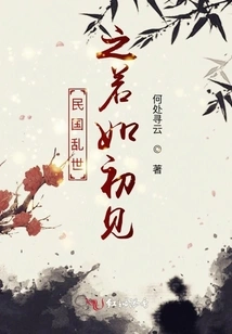 The First Glimpse of the Republic of China in Troubled Times