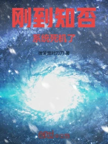 Did You Know That the System Crashed Just after Arriving?