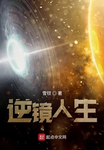 Life in Reverse Mirror