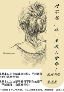 I'm Sorry, I Only Love You in This Life