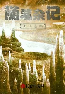 Essays and Life Experiences