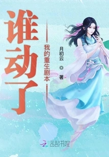 Who Touched My Rebirth Script?