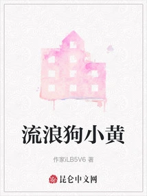 Stray Dog ​​xiao Huang