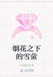 Snow Fireflies under the Fireworks