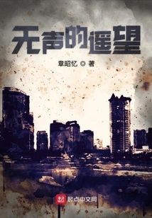 Silent Looking into the Distance