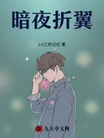 Broken Wings in Dark Night