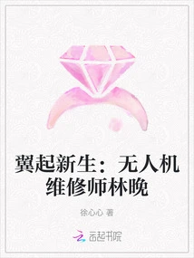 A New Lease of Life: Drone Maintenance Engineer Lin Wan