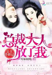 Story of Princess Promotion: Mr. Ceo Let Me Go