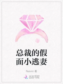 The Ceo's Masked Little Fugitive Wife