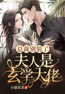 Ceo, Stop Pretending, My Wife is a Master of Metaphysics