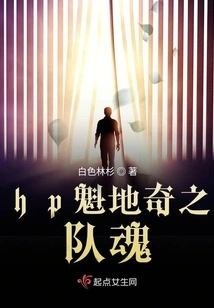 Hp Quidditch Team Spirit