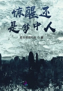 When You Wake Up, You Are Still in the Dream