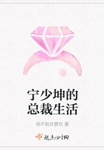 Ning Shaokun's Life as Ceo