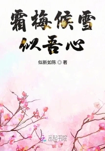 The Frosty Plum Blossoms and the Snow Are Like My Heart