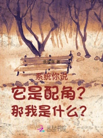 System, You Said it is a Supporting Role? so What Am I?