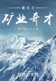 The Reborn Mining Wizard