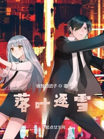 Fallen Leaves Chasing Snow