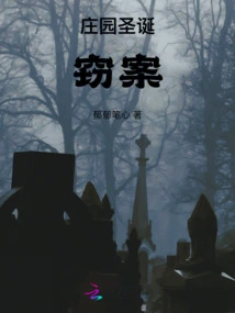 Christmas Theft at the Manor