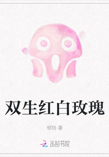 Twin Red and White Roses