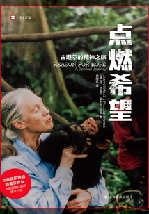 Ignite Hope (translated Documentary)