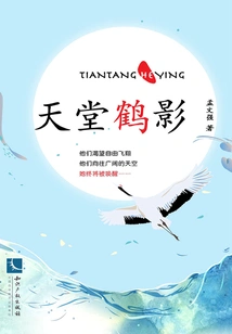 Crane Shadow in Heaven