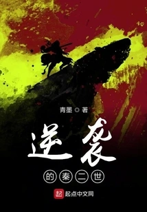 The Counterattack of Qin Ii