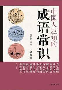 Common Idioms That Chinese People Should Know (illustrated Book)