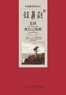 Zhao Luorui Translated Wasteland My Own Song