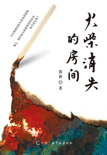 The Room Where the Matches Disappeared