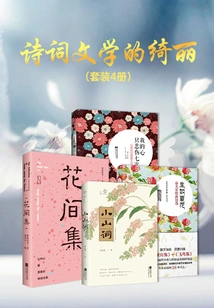 The Beauty of Poetry and Literature (set of Four Volumes)