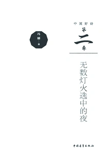 The Night Selected by Countless Lights (chinese Good Poetry·season 2)