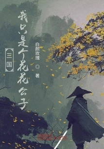 Three Kingdoms: I Just Want to Be a Noble Son