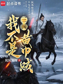 Three Kingdoms: I Am Not a Yellow Turban Thief