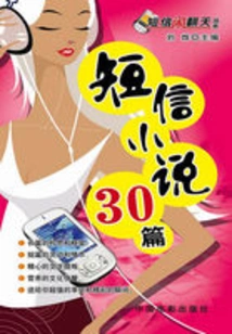 30 Sms Novels