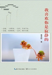 I Like That You Are Silent